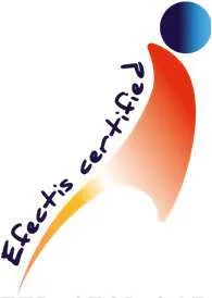 Efectis certified